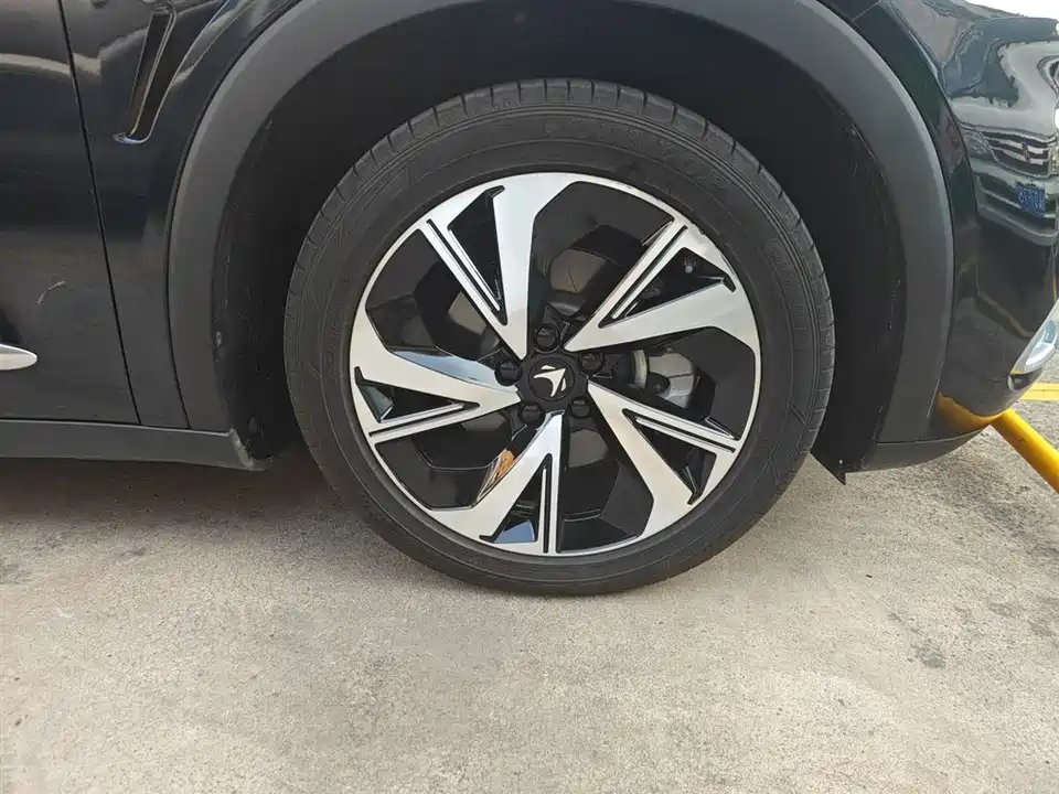 ARCFOX Polar Fox Alpha S