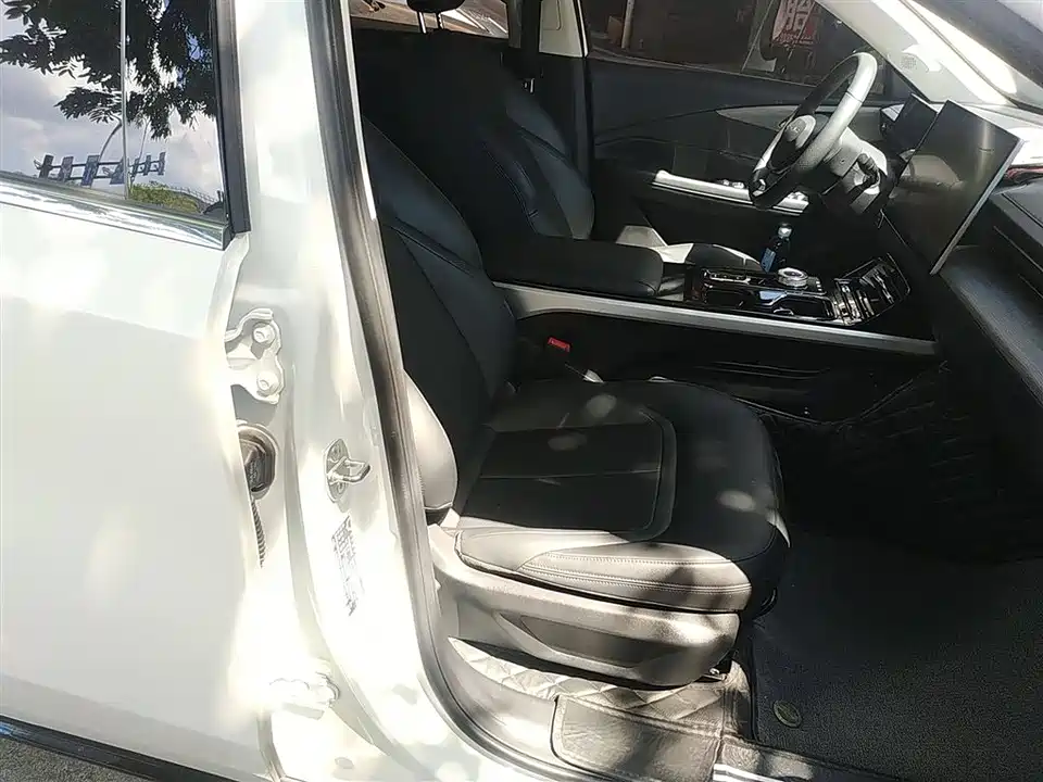 Wuling Wuling Starlight