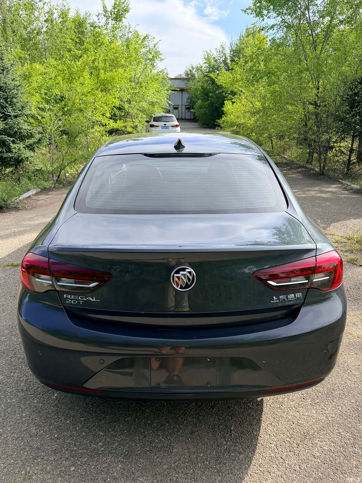 Buick Regal, 2020 10