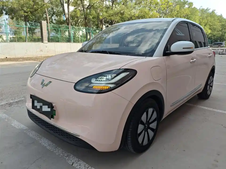 Wuling Wuling Bingguo