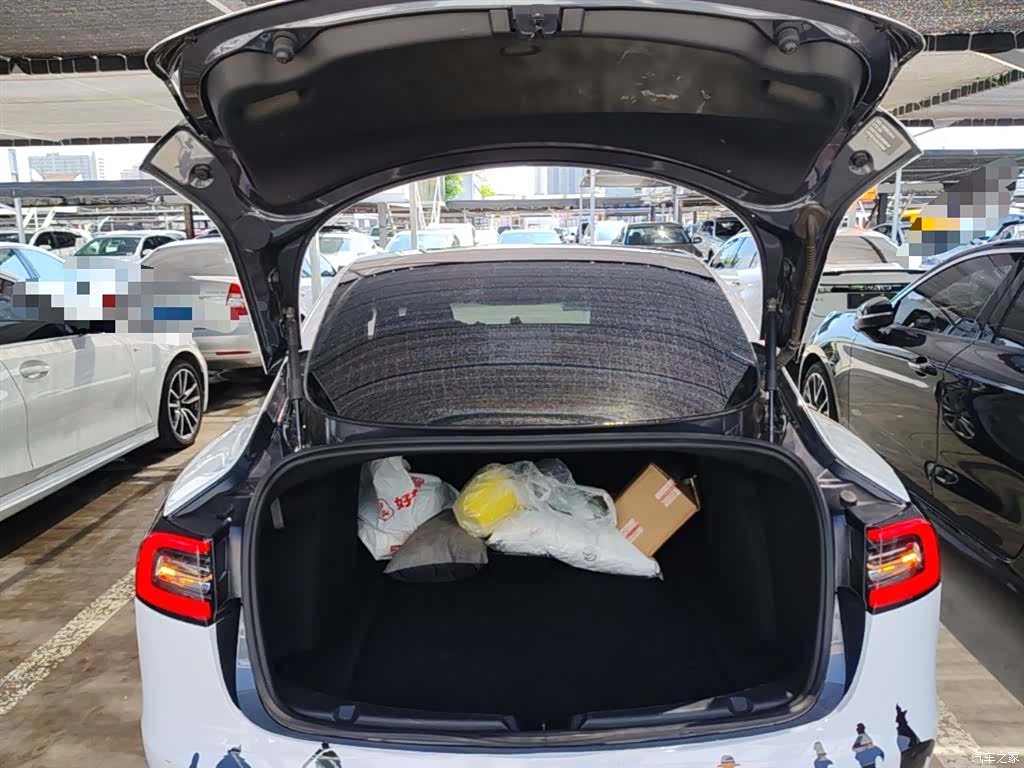 Tesla Model 3, 2020 18