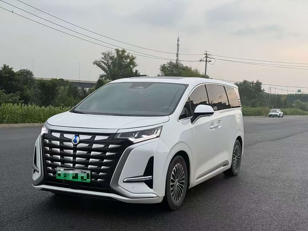 Denza D9
