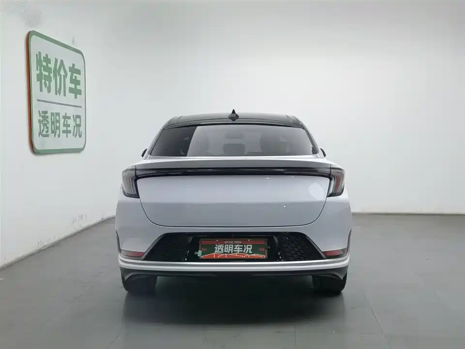 ARCFOX Polar Fox Alpha S