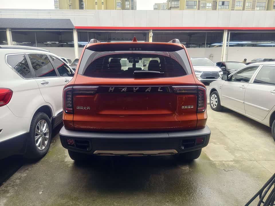 Haval Big dog