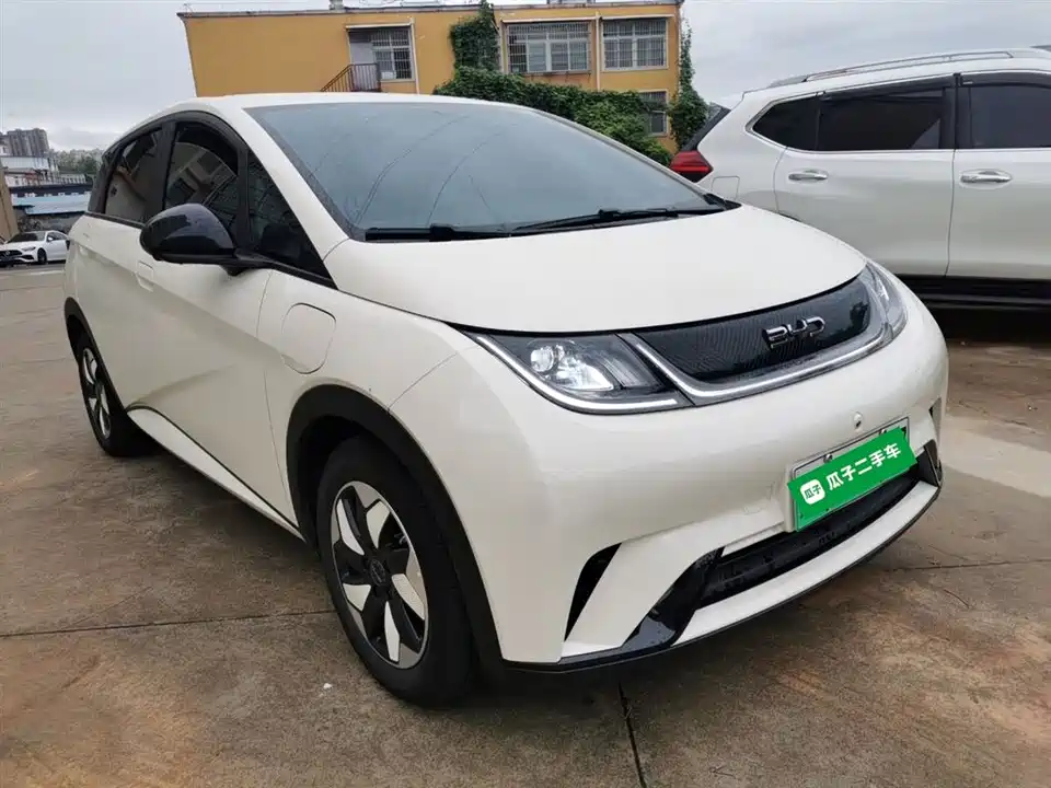 BYD dolphin