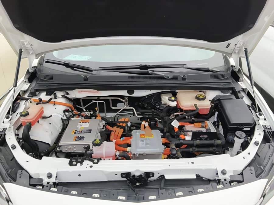 Buick WEY Blue 6 2024, фото 15