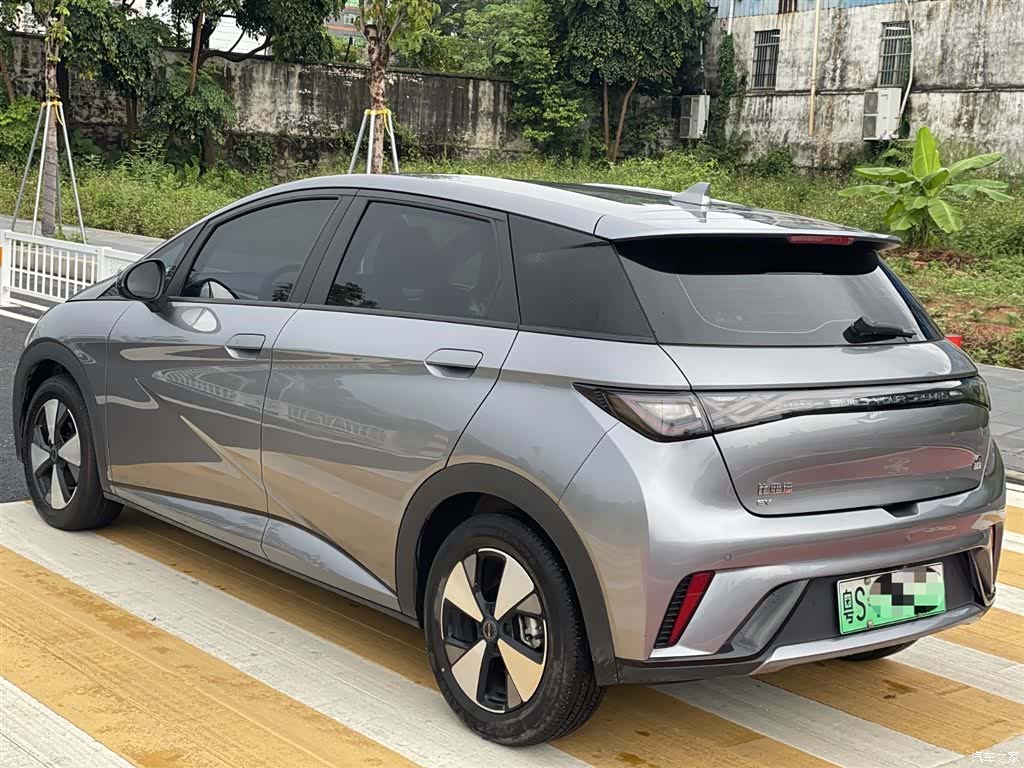 BYD Dolphin, 2024 4