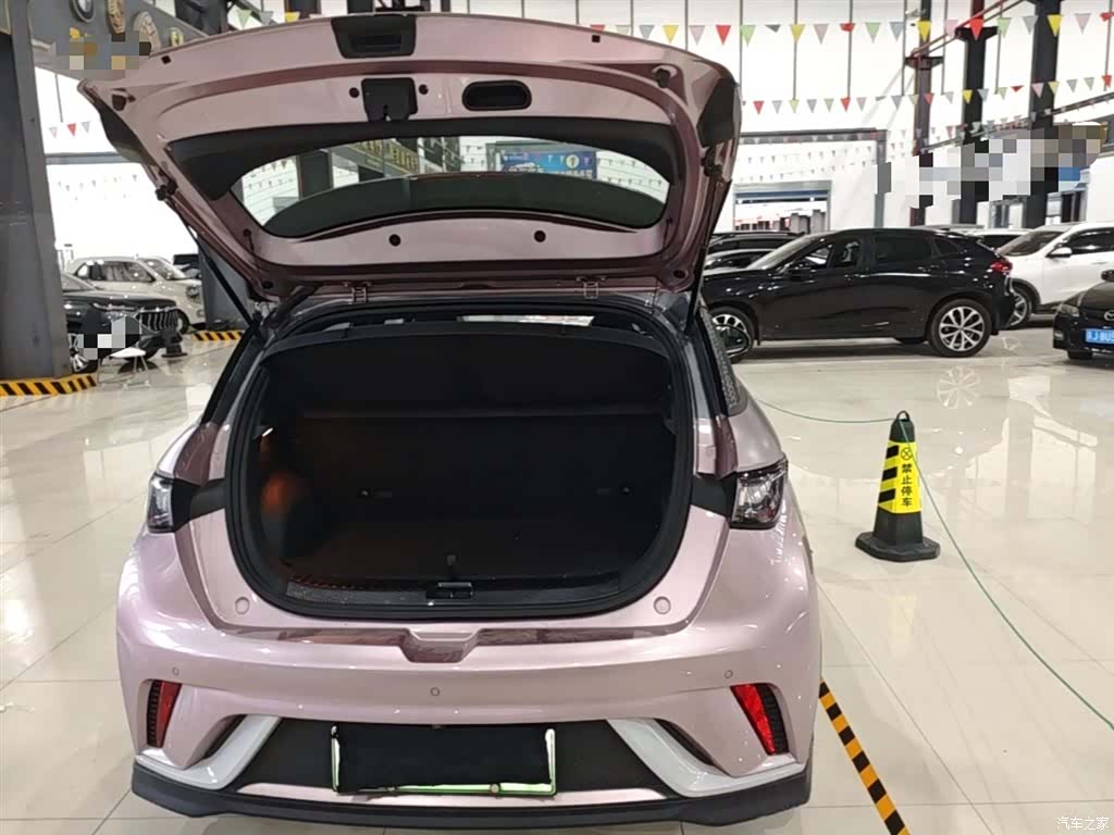 BYD Dolphin, 2022 19