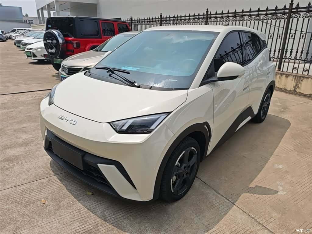 BYD Seagull, 2024 1