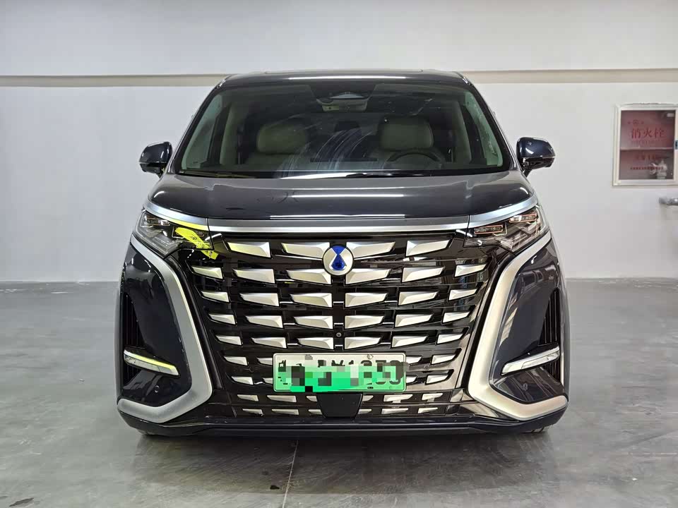 Denza D9 Denza D9