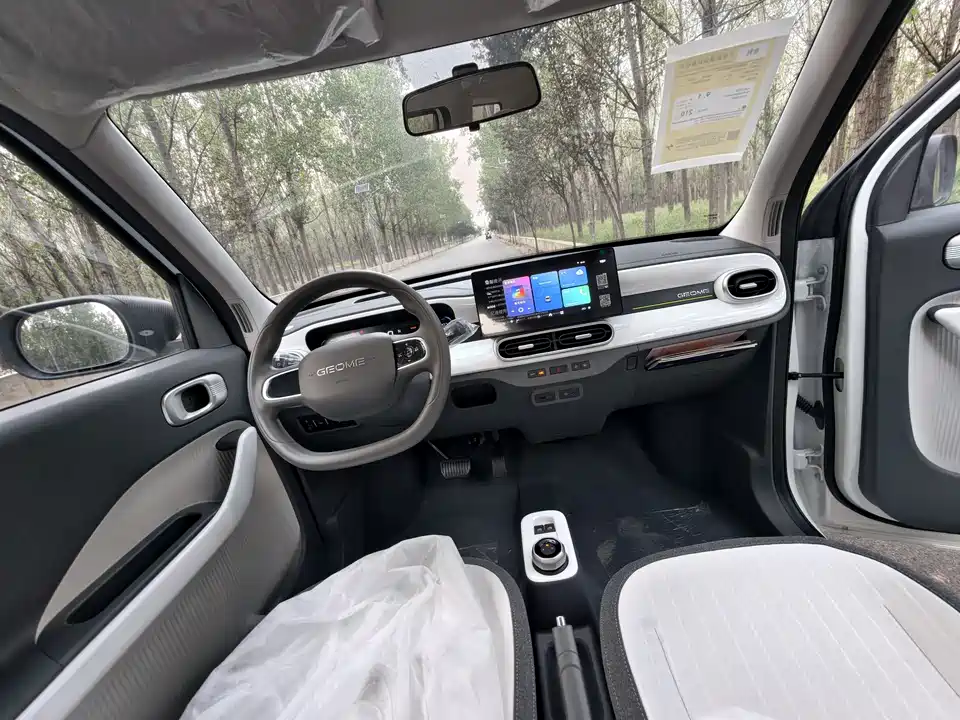 Geely Galaxy panda
