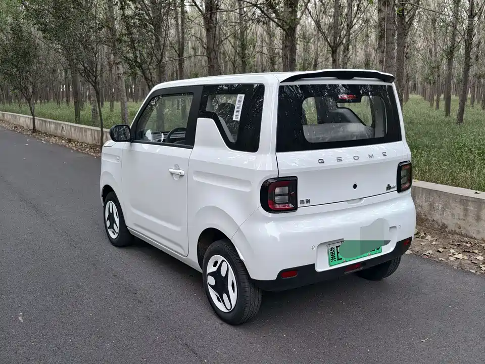 Geely Galaxy panda