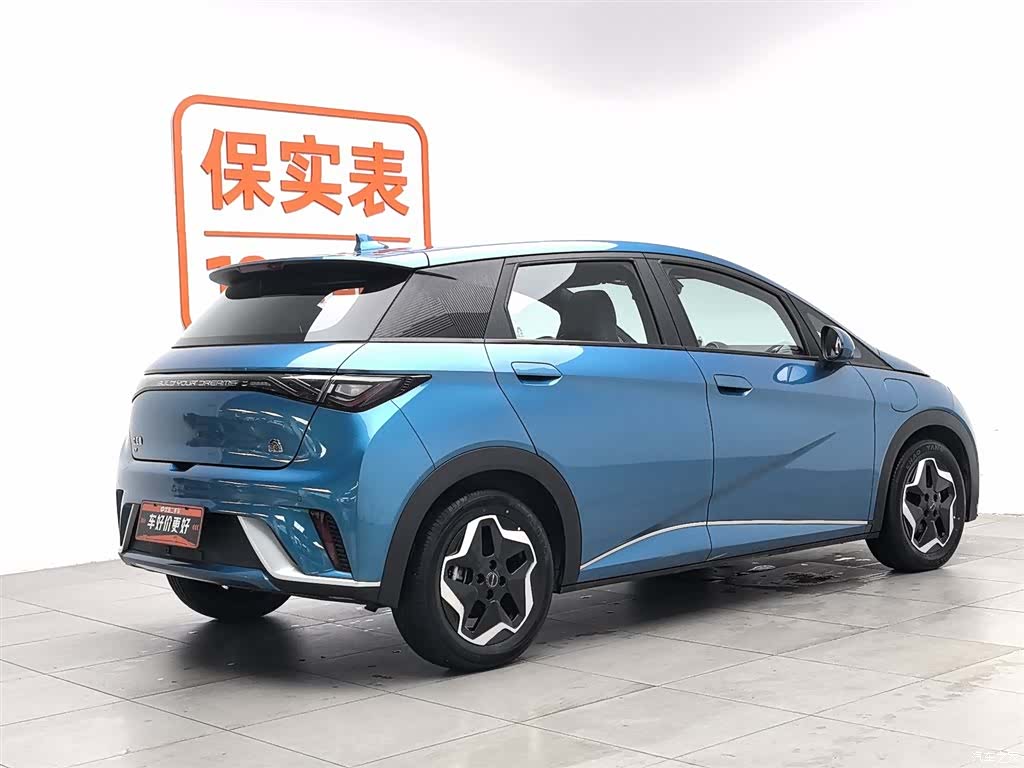 BYD Dolphin, 2022 2