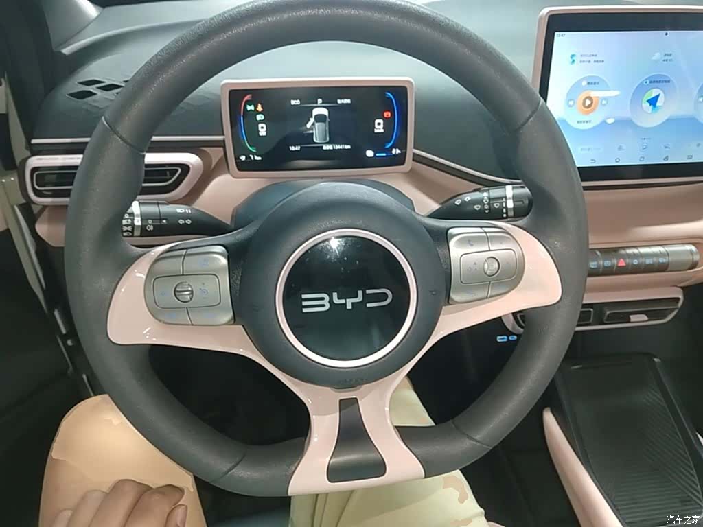 BYD Seagull, 2024 11