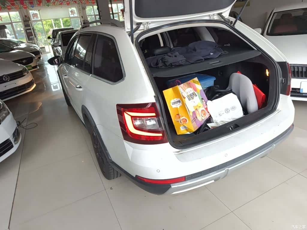 Skoda Octavia, 2017 все фото