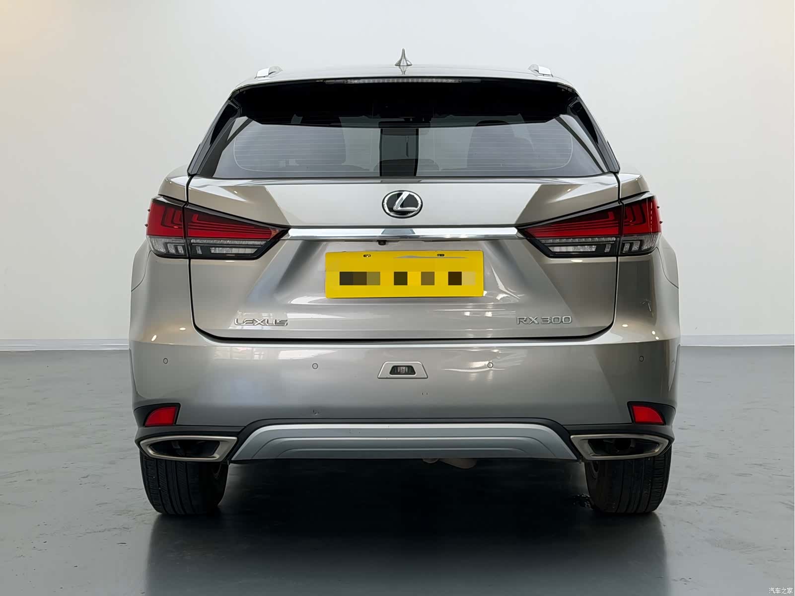 Lexus RX, 2020 все фото