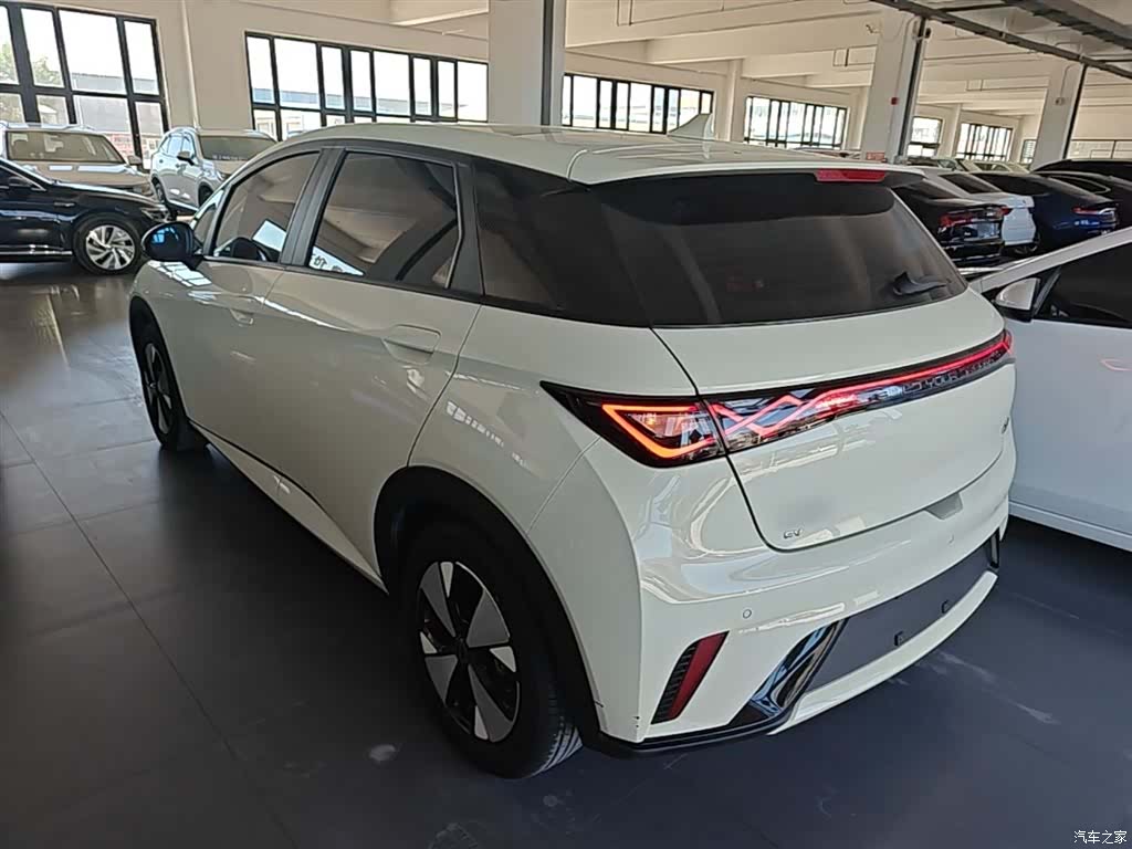 BYD Dolphin, 2023 все фото