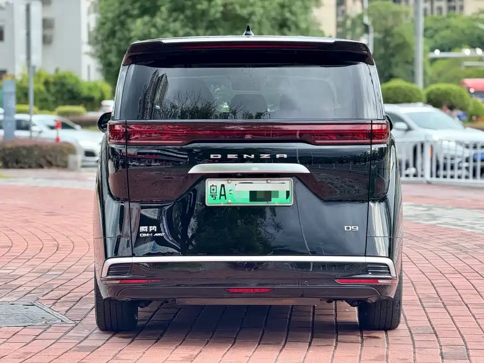 Denza D9