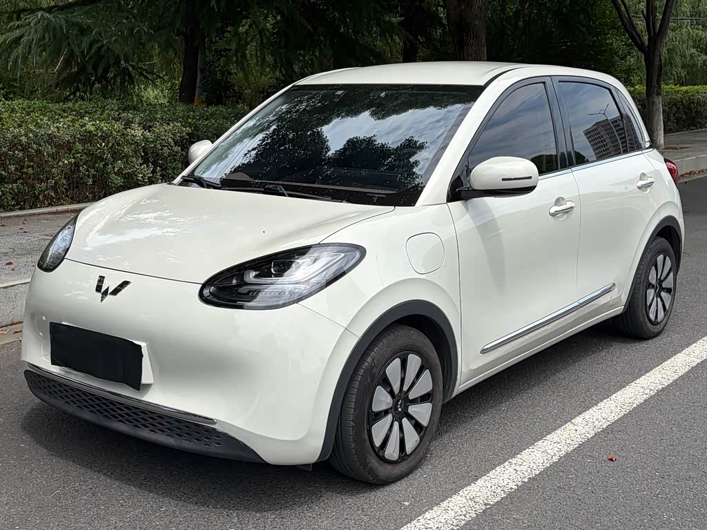 Wuling Binguo