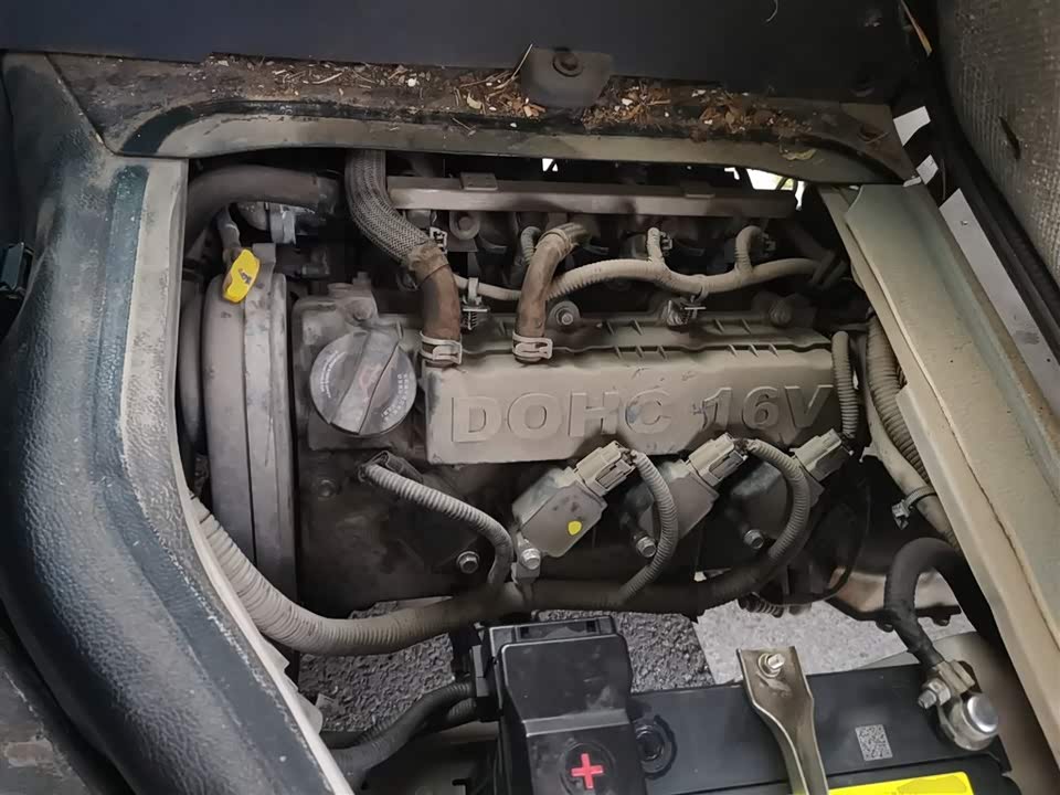 Jinbei Little Sea Lion X30