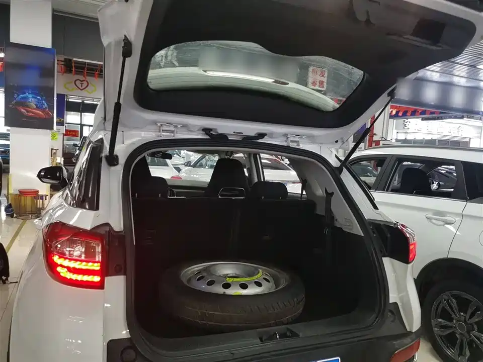 Leopaard Cheetah CS9