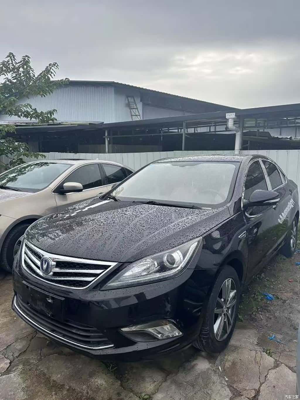 Changan Eado, 2016 1