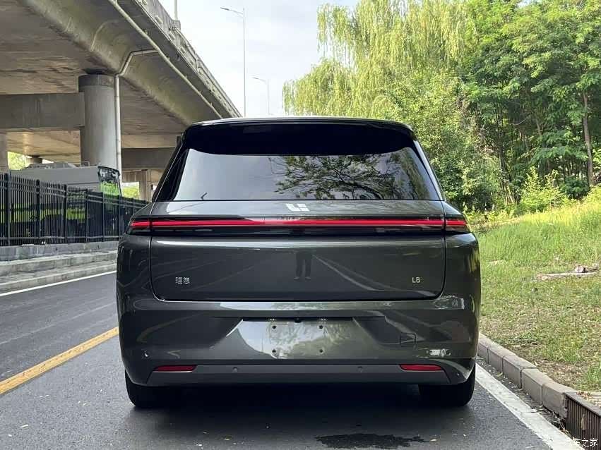 Li Auto L8, 2023 9