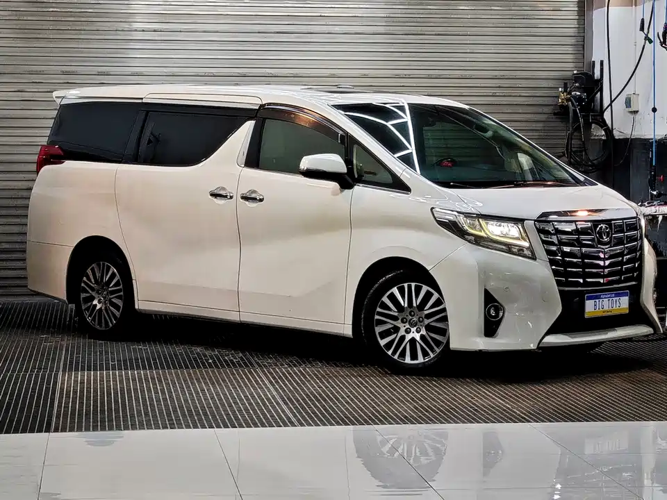Toyota Elfa