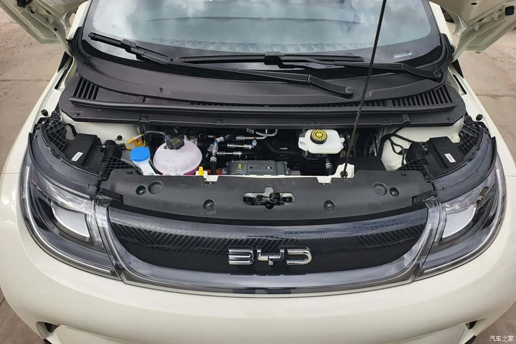 BYD Dolphin, 2026 10