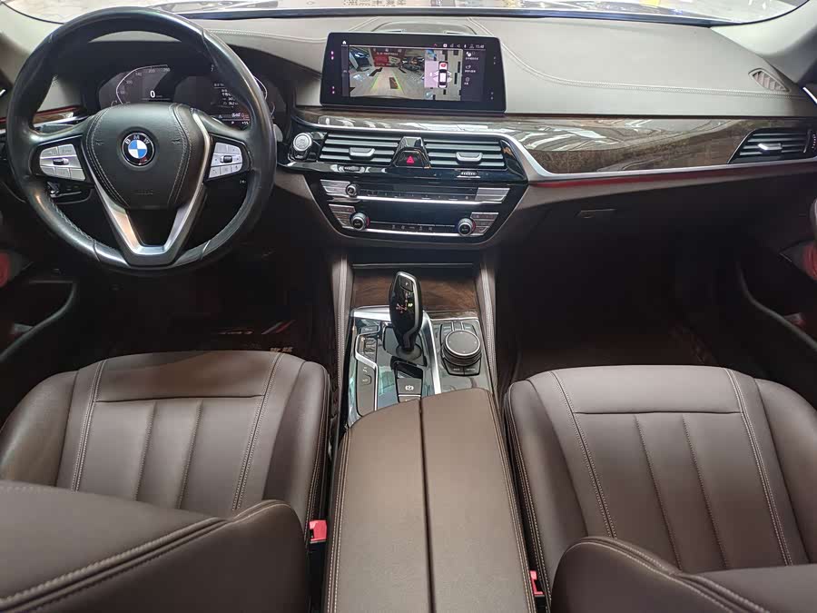 BMW 5 Series 2019, фото 16