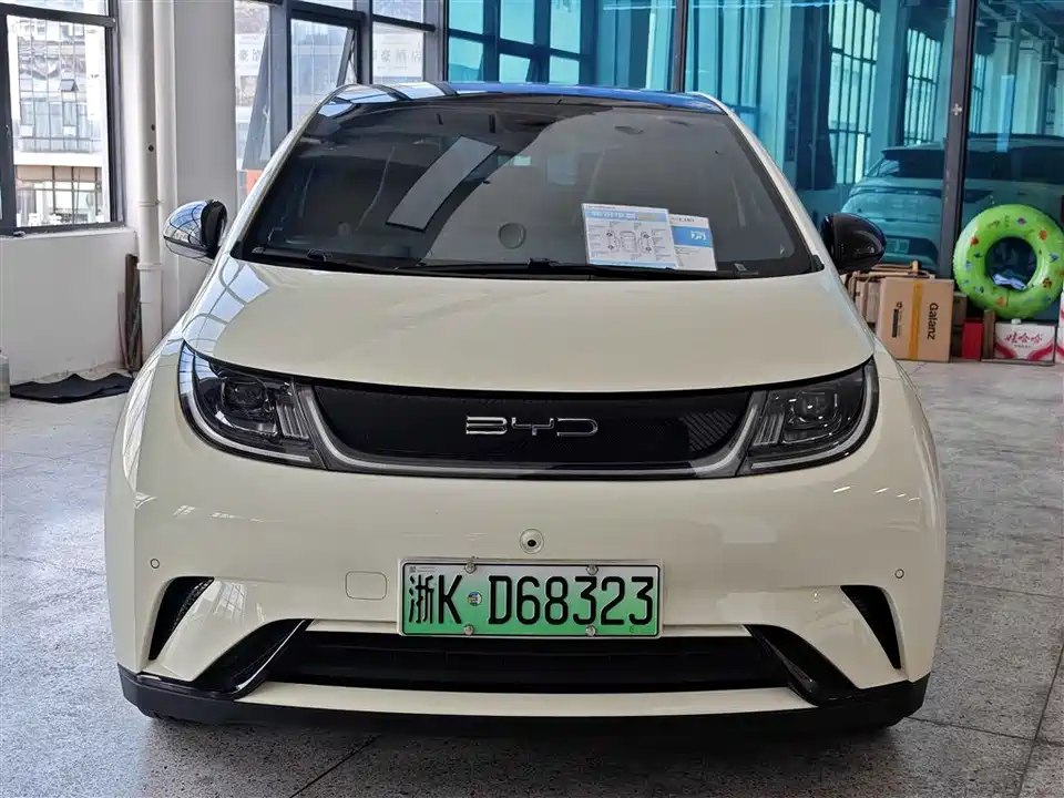 BYD dolphin