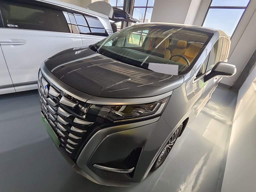 Denza D9