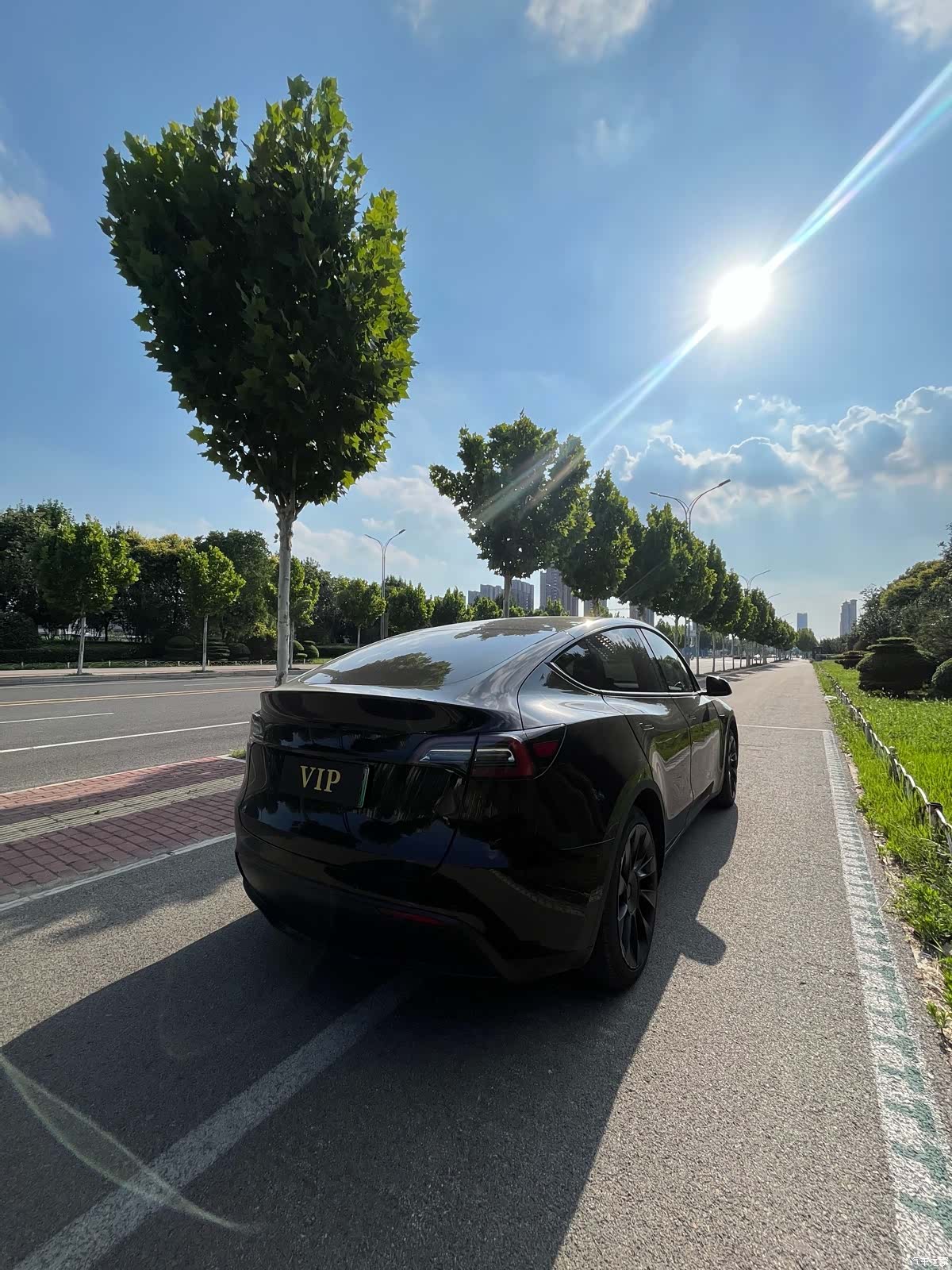 Tesla Model Y, 2021 10