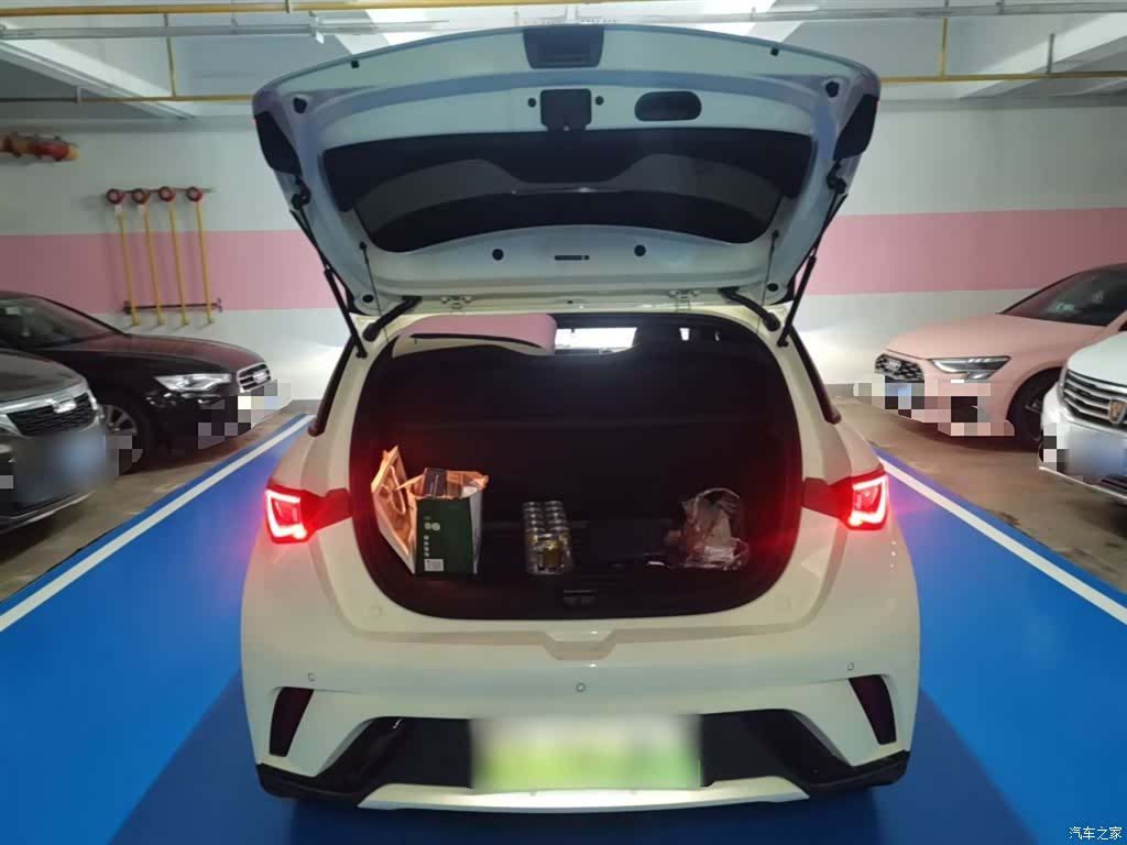 BYD Dolphin, 2024 10