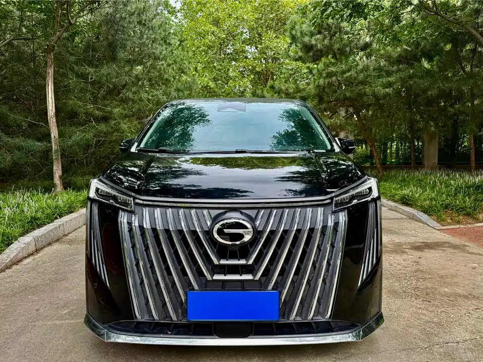 Trumpchi Trumpchi M8 Trumpchi Trumpchi M8