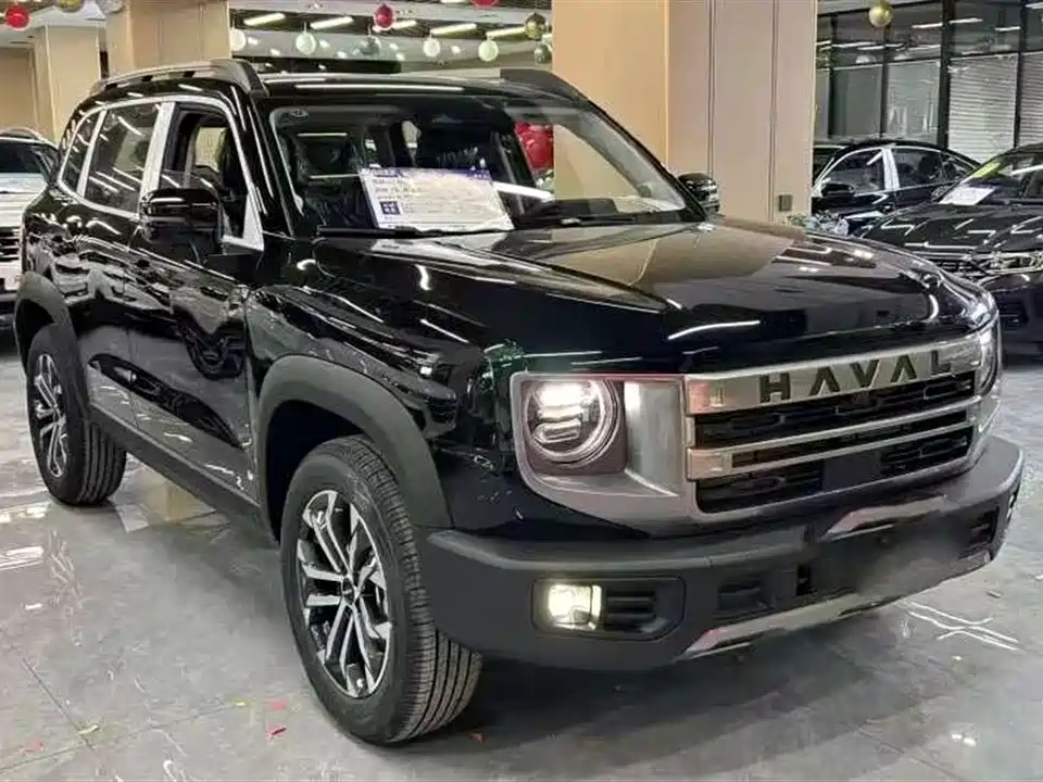 Haval Big dog
