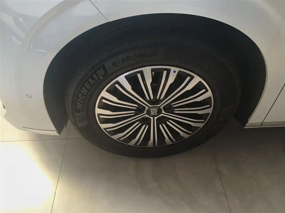 BYD summer BYD summer