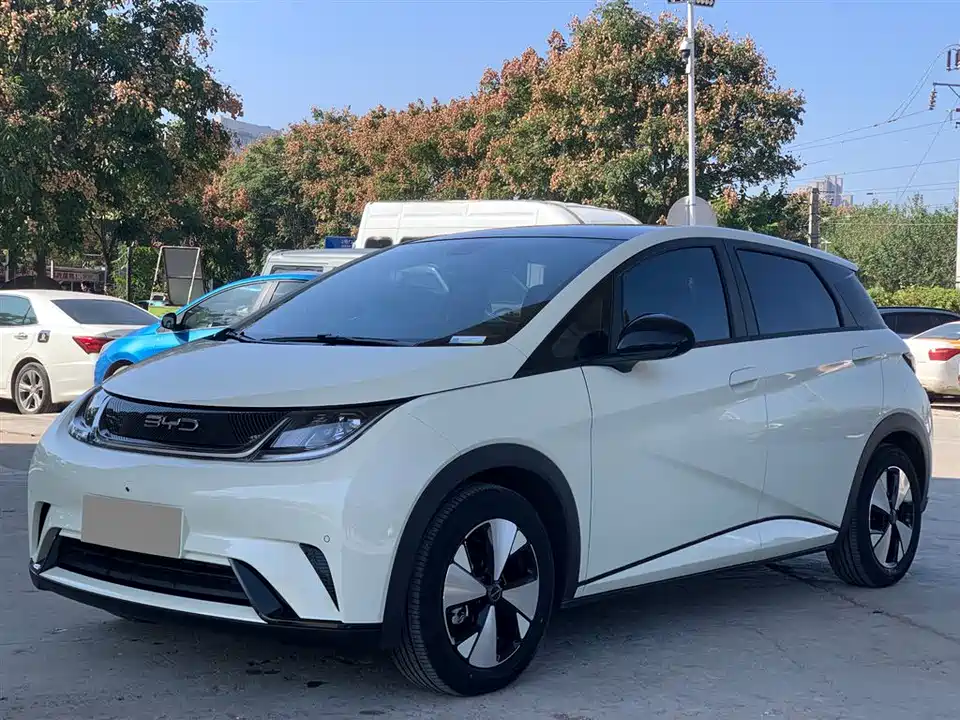 BYD dolphin