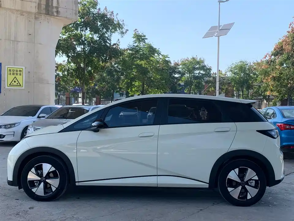 BYD dolphin