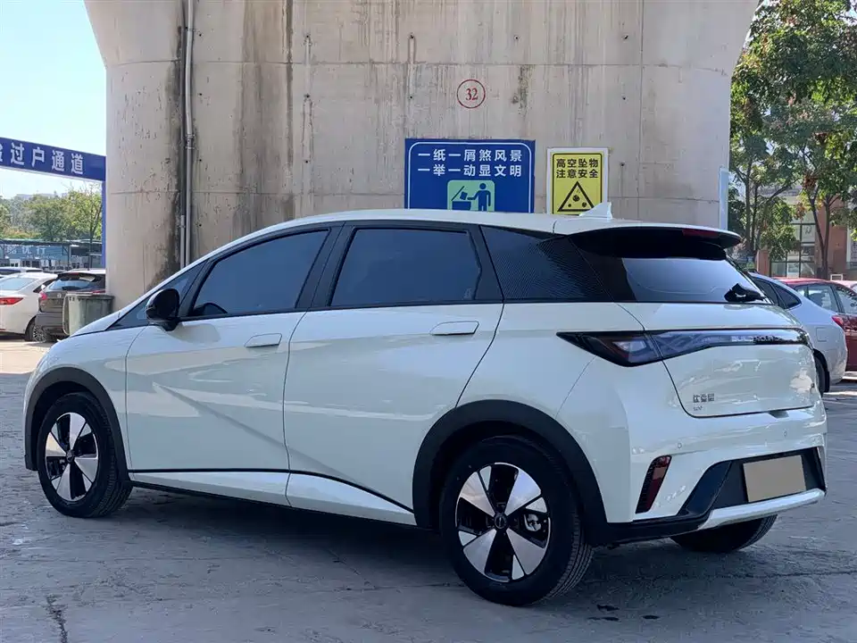 BYD dolphin