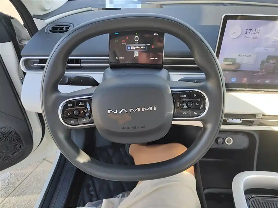 Dongfeng Nammi Nano 01