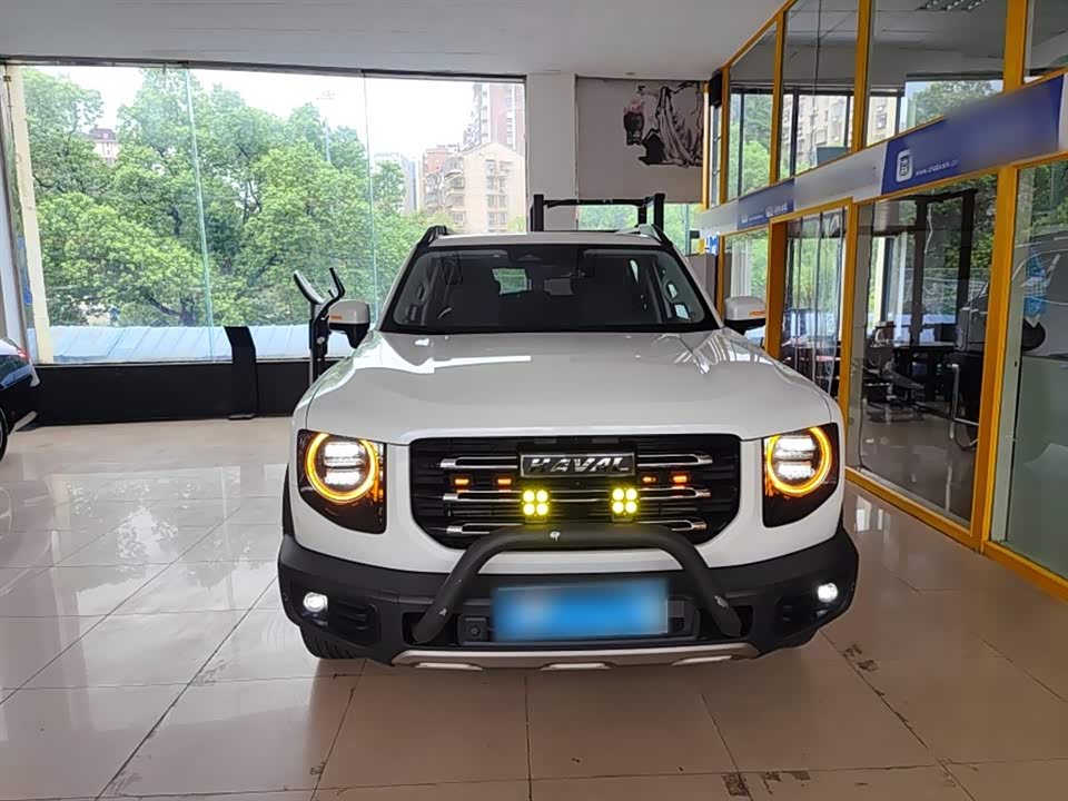 Haval Big dog