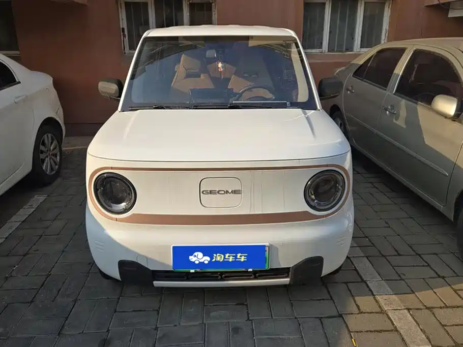 Geely Galaxy panda