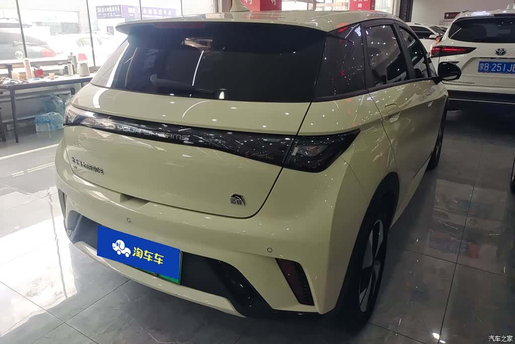 BYD Dolphin, 2023 3