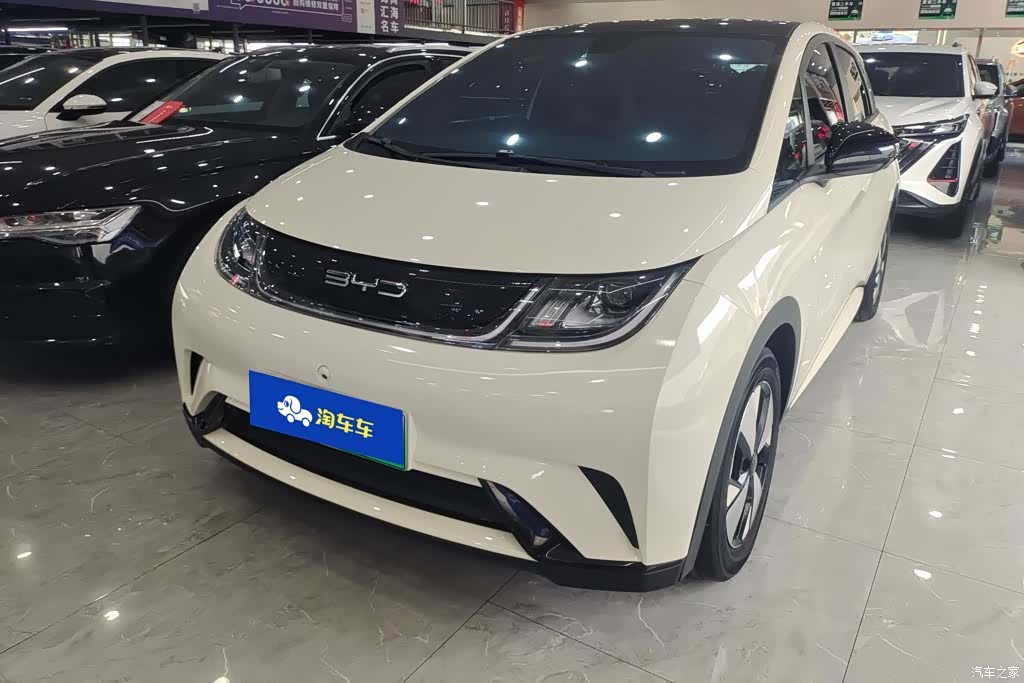 BYD Dolphin, 2023 1