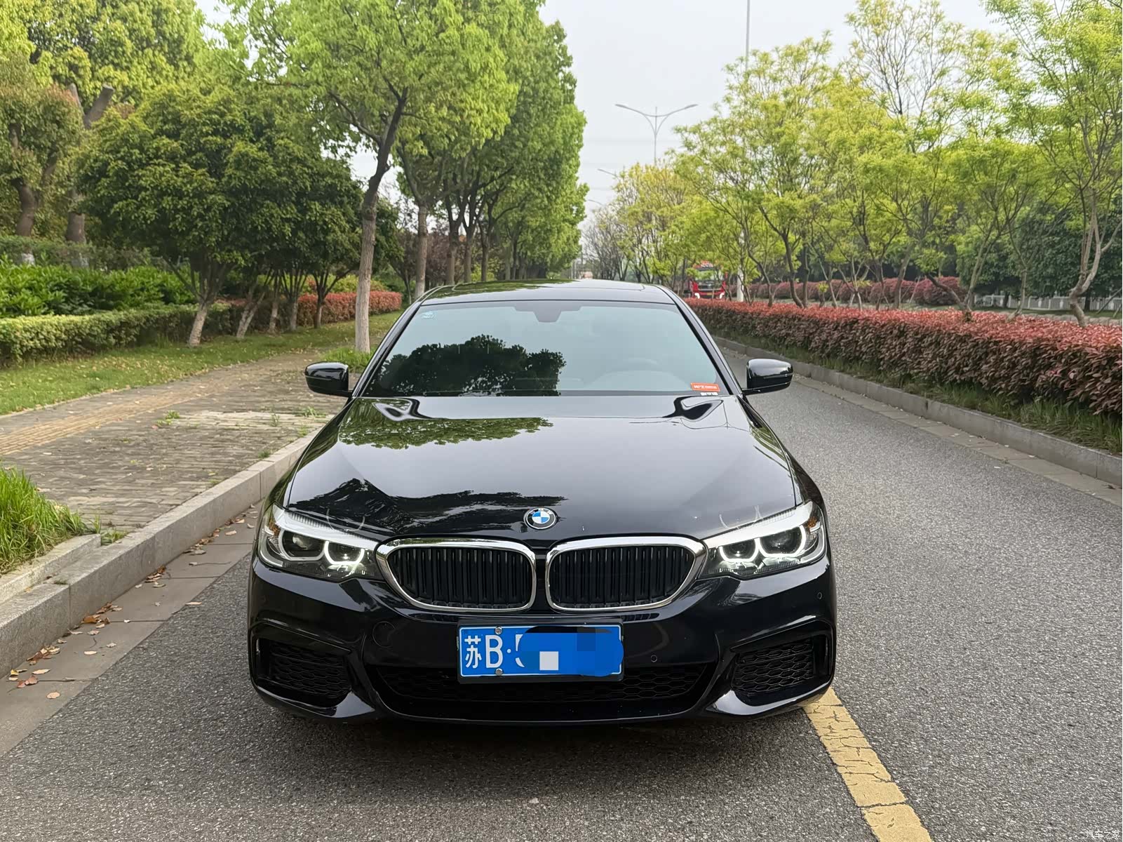 BMW 5 Series, 2020 2