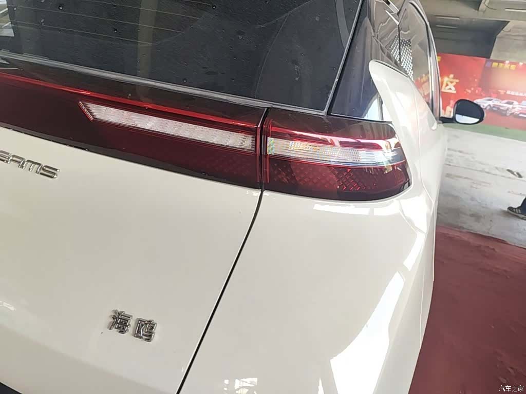 BYD Seagull, 2024 8