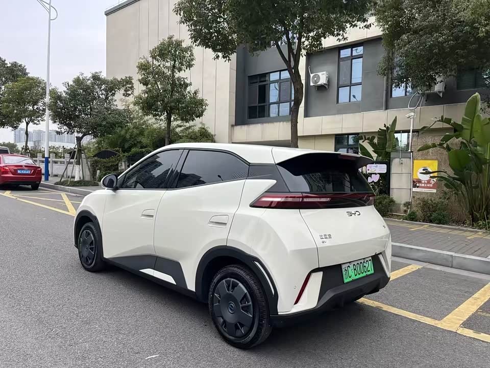 BYD Seagull BYD Seagull