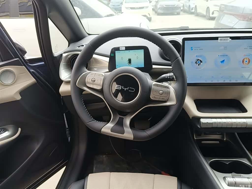 BYD Dolphin, 2026 11