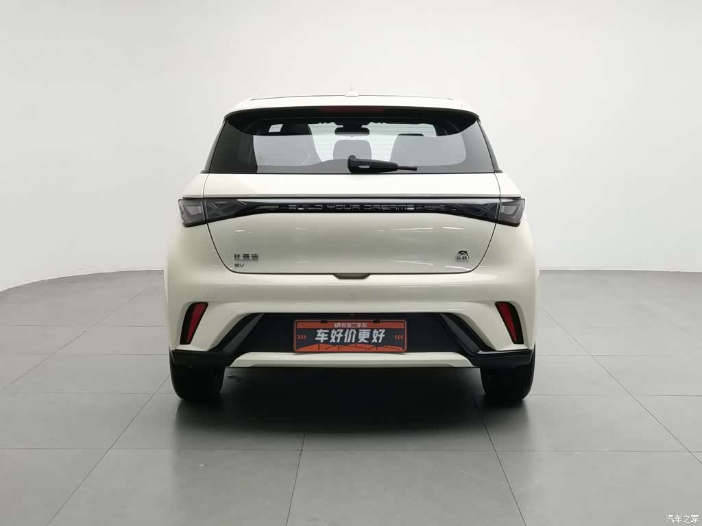 BYD Dolphin, 2023 4